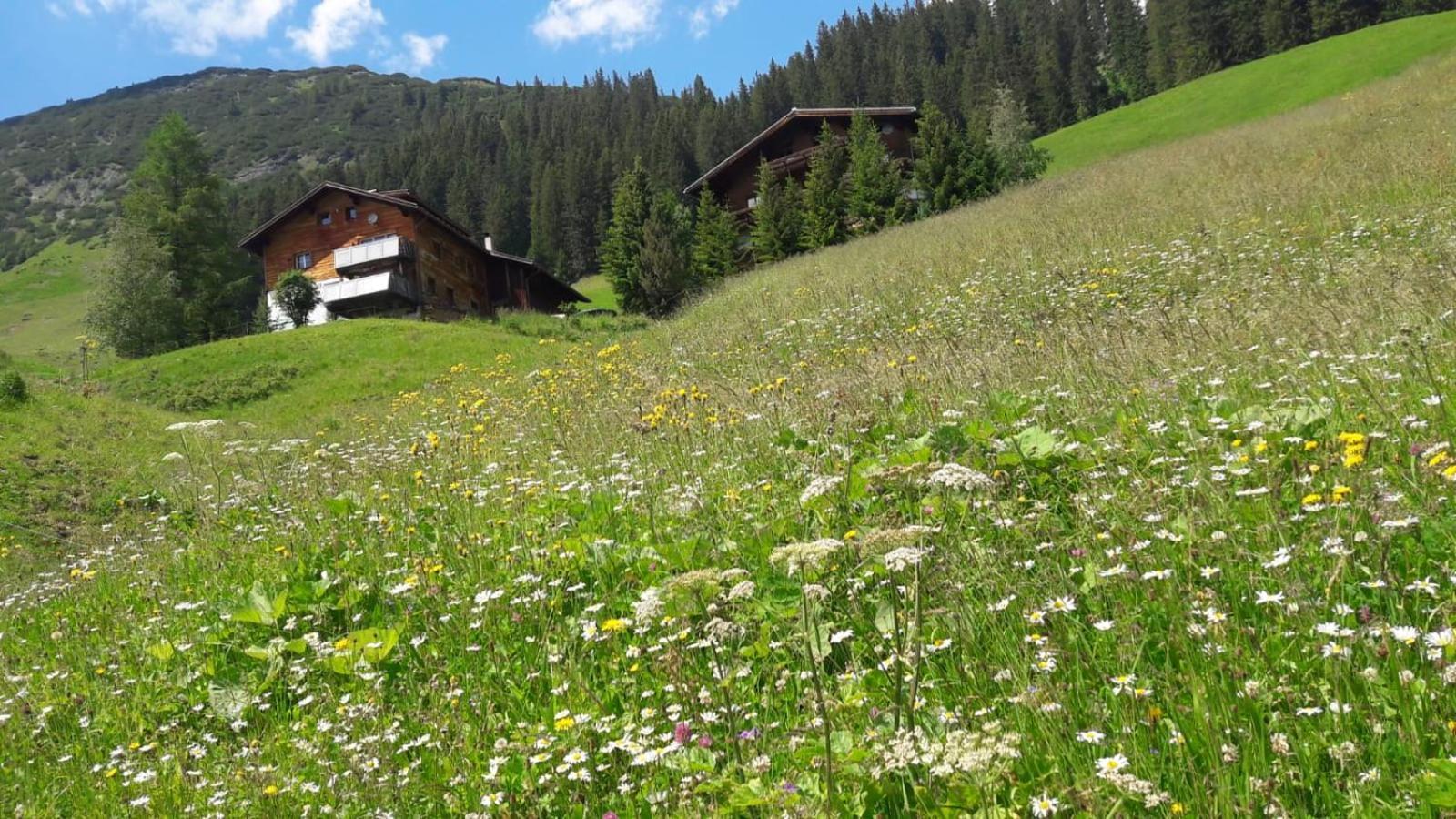 Apartamento Haus Sonnenschein Warth  Exterior foto